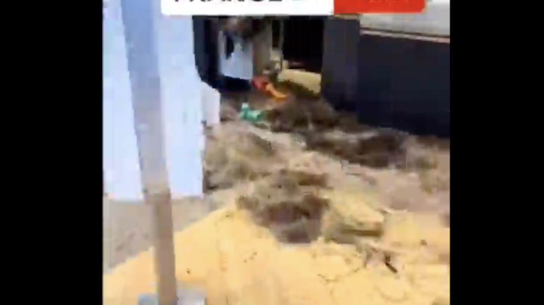 ⁣French Farmers Decorate McDonald's With Cow Manure