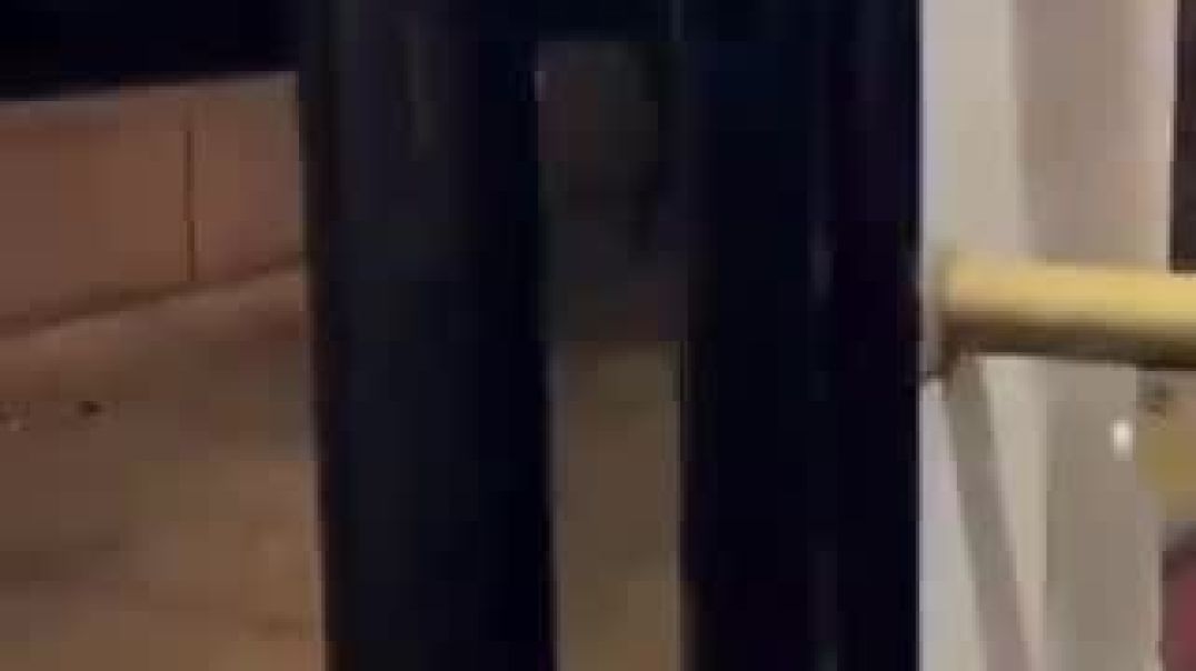 ⁣Machete Wielding Cultural Enricher Goes After a Man’s iPhone On a Bus in London