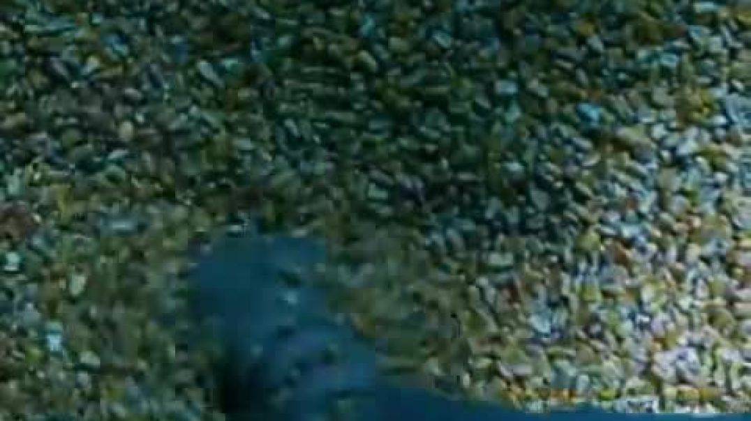 ⁣Please Watch This VERY Important Safety Video