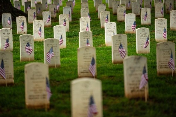 How does freedom fit into an analogy of a tree? Find out in this special Memorial Day piece by visiting here: https://bit.ly/3S1dSgZ
